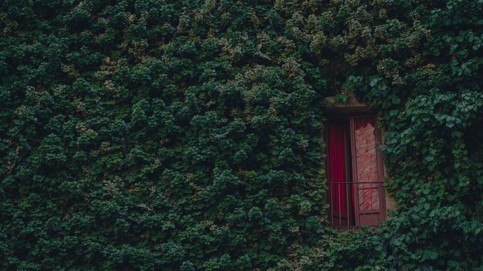 AAROH Group “FOREST WITH PURPOSE”